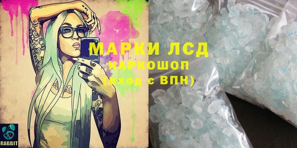 шишки Инсар
